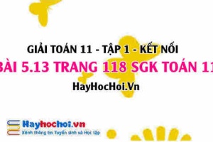 Giải bài 5.13 trang 118 Toán 11 tập 1 SGK Kết nối tri thức